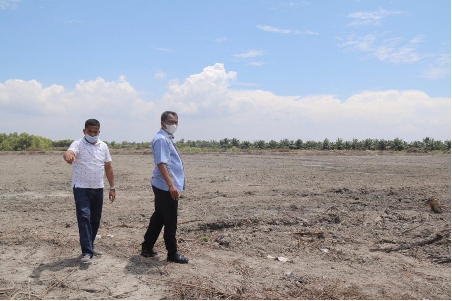 Pemkab Sergai Targetkan Cetak 1.000 Hektar Lahan Persawahan Baru
